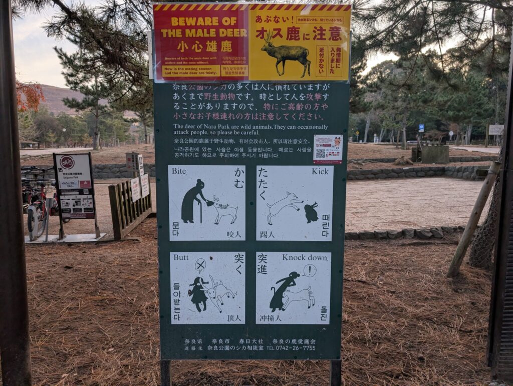 Warning sign in Nara Park explaining that male deer can bite, kick, or knock people down