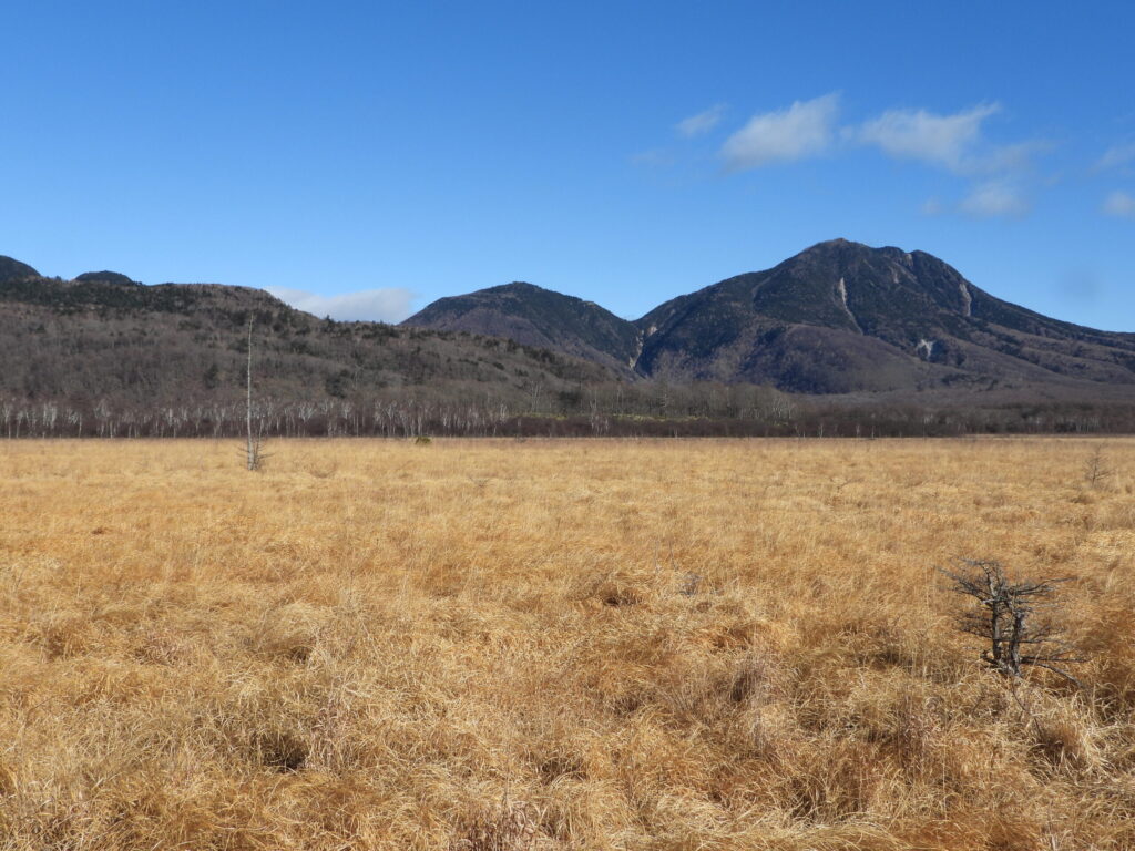 Wide view of Senjogahara Marshland in Nikko National Park, featuring golden grasslands, distant mountains, and a clear blue sky.
