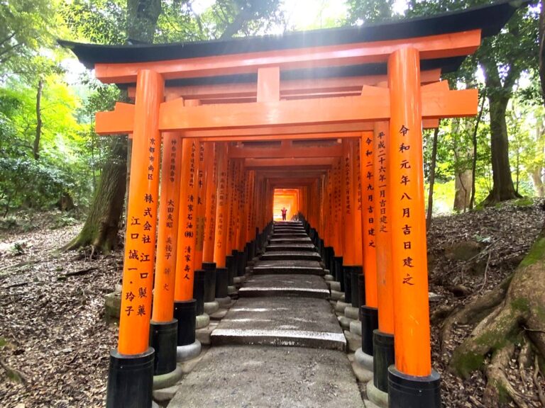 Walking deeper into the torii gates of Fushimi Inari, the crowds fade away and nature takes over.